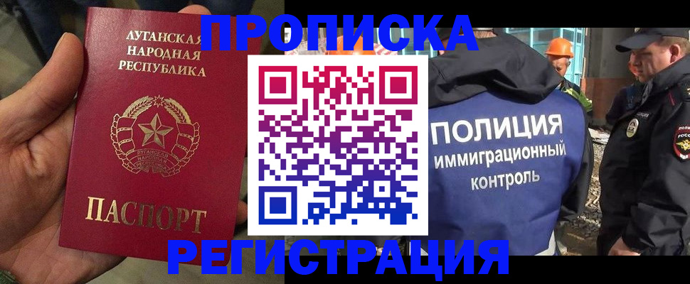 прописка поиск в Шали